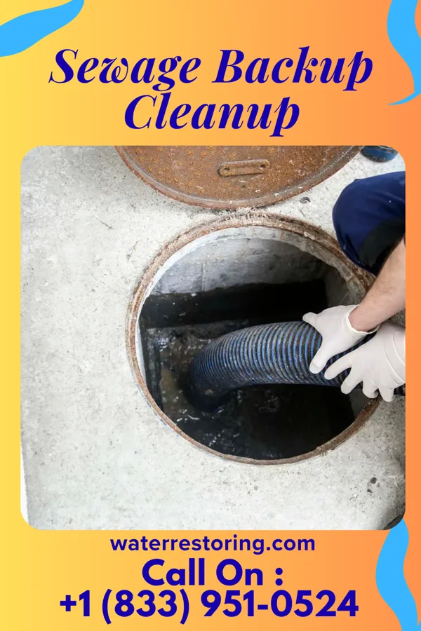 Sewage Backup Cleanup in Chevy Chase Village, MD